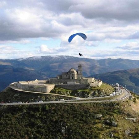 Casa Das Vinhas Camelias De Bastoturismo Rural سيلوريكو دي باستو المظهر الخارجي الصورة
