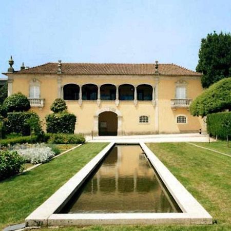 Casa Das Vinhas Camelias De Bastoturismo Rural سيلوريكو دي باستو المظهر الخارجي الصورة