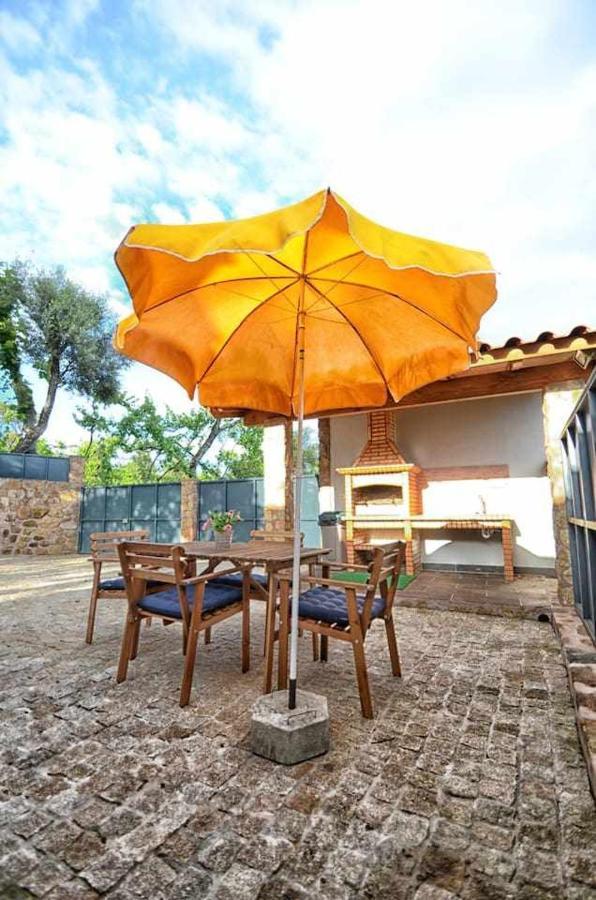 Casa Das Vinhas Camelias De Bastoturismo Rural سيلوريكو دي باستو المظهر الخارجي الصورة