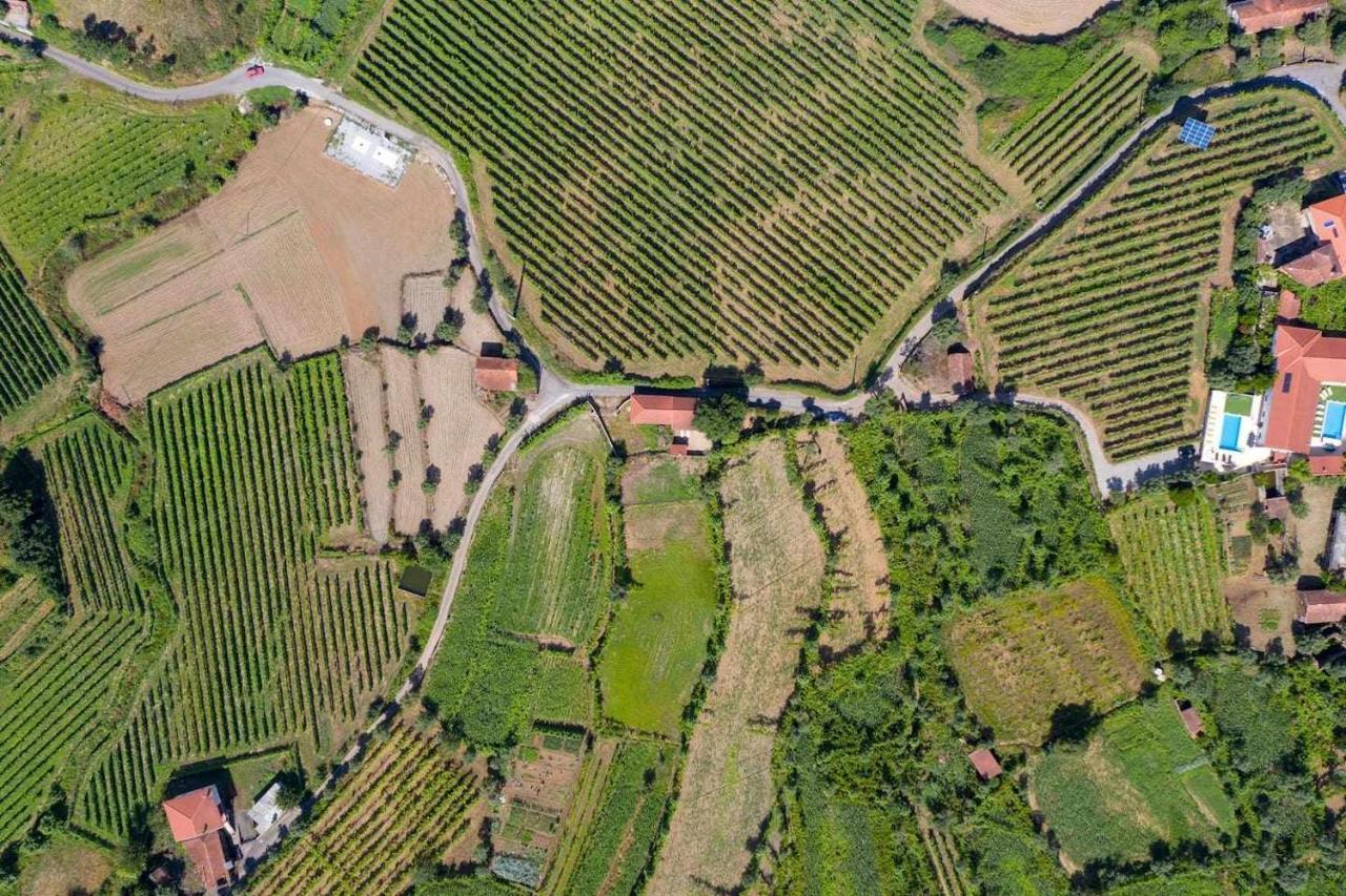 Casa Das Vinhas Camelias De Bastoturismo Rural سيلوريكو دي باستو المظهر الخارجي الصورة