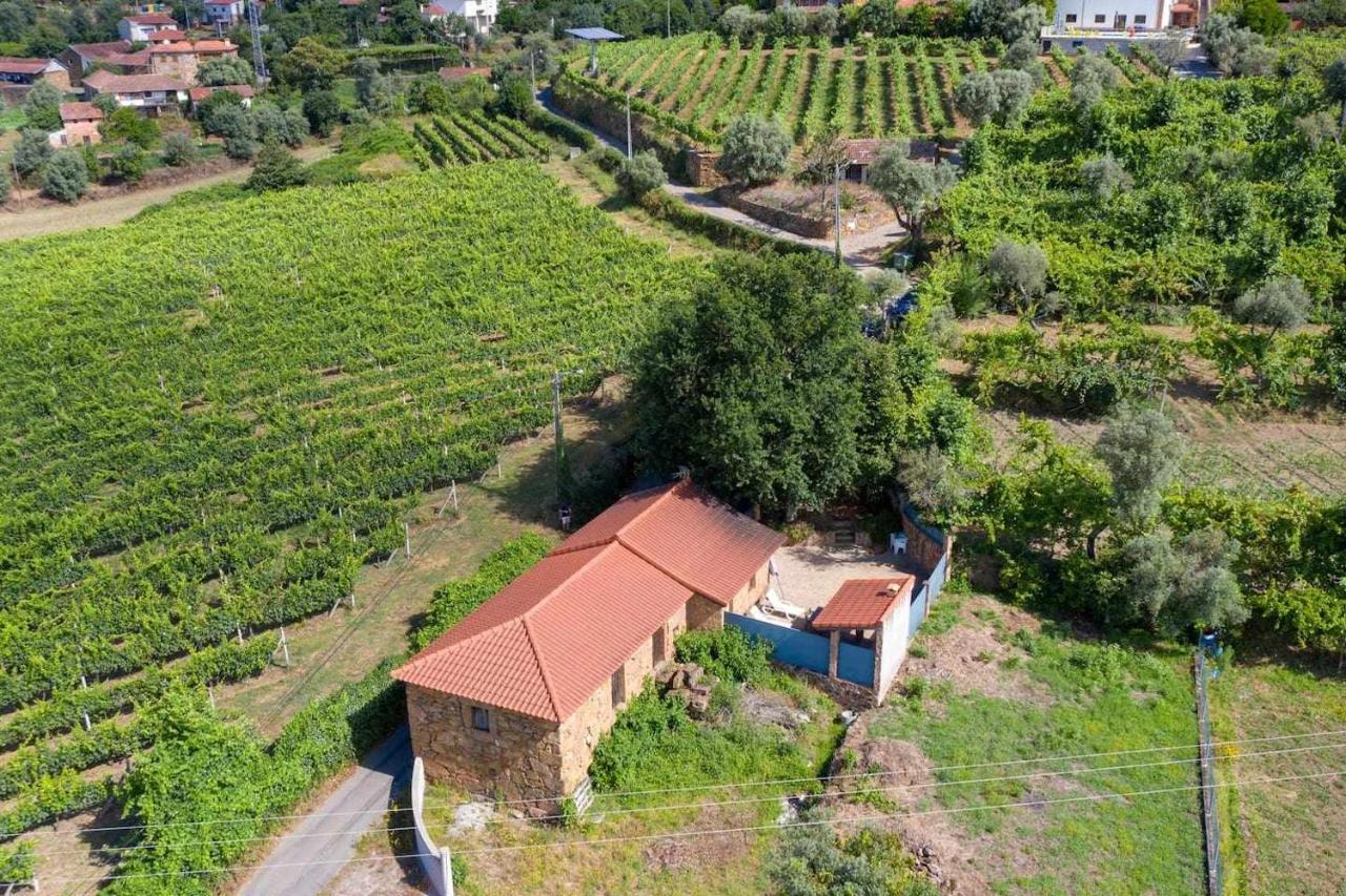 Casa Das Vinhas Camelias De Bastoturismo Rural سيلوريكو دي باستو المظهر الخارجي الصورة
