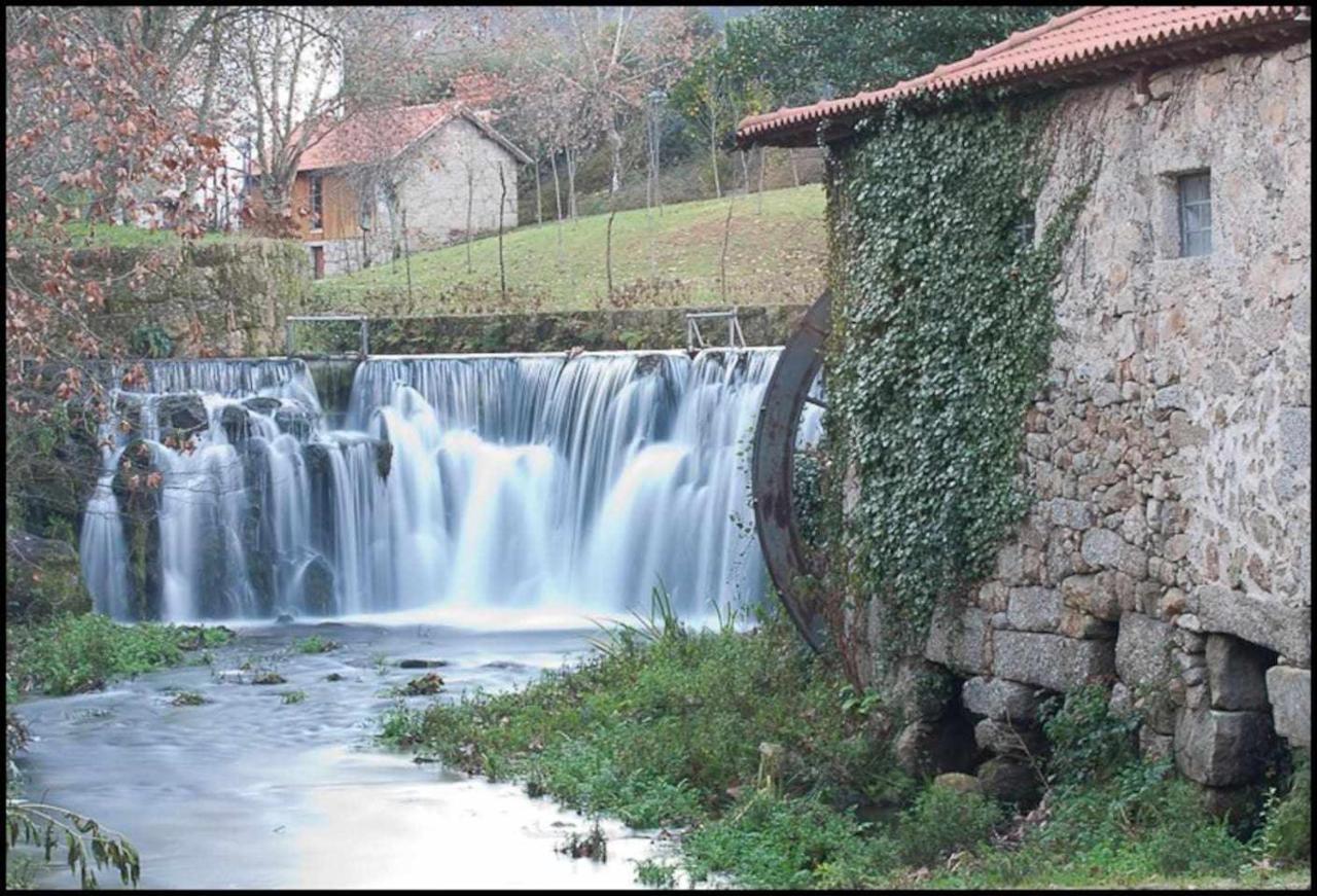 Casa Das Vinhas Camelias De Bastoturismo Rural سيلوريكو دي باستو المظهر الخارجي الصورة
