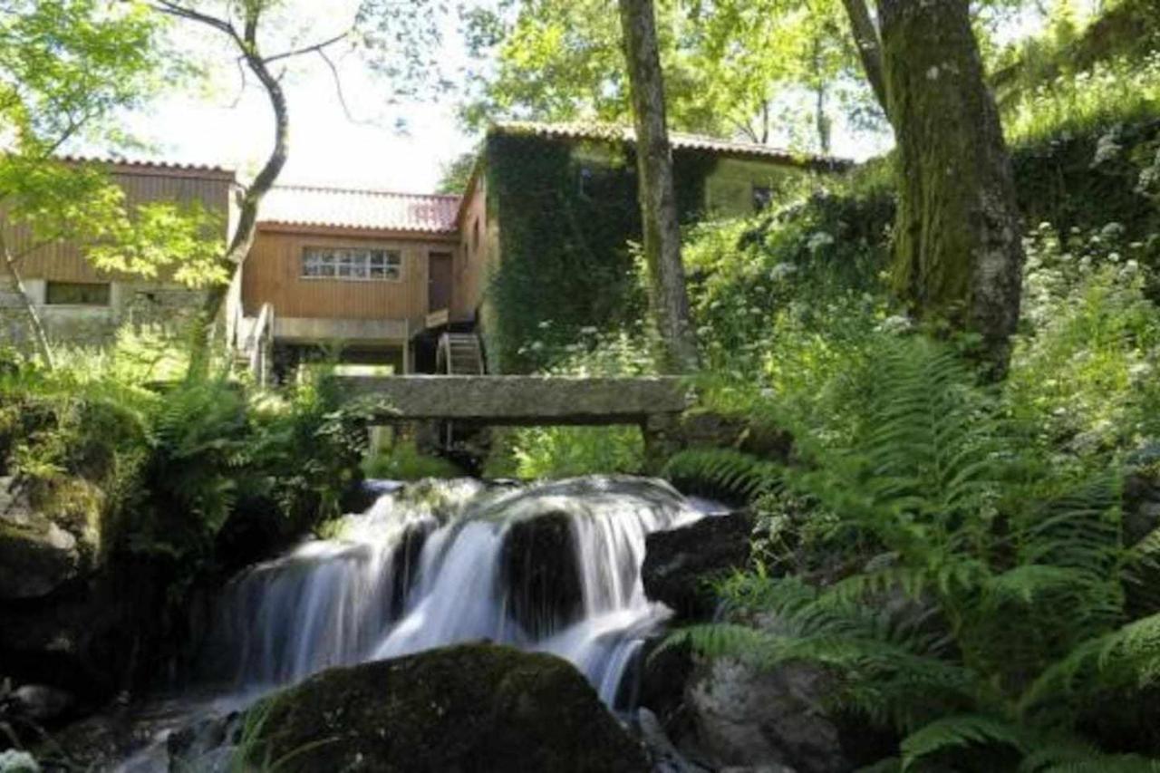 Casa Das Vinhas Camelias De Bastoturismo Rural سيلوريكو دي باستو المظهر الخارجي الصورة