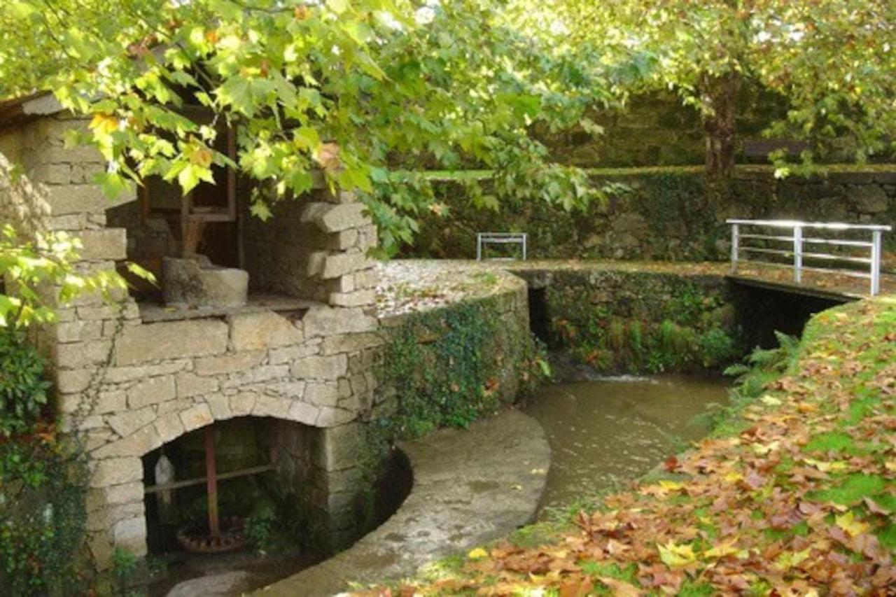 Casa Das Vinhas Camelias De Bastoturismo Rural سيلوريكو دي باستو المظهر الخارجي الصورة