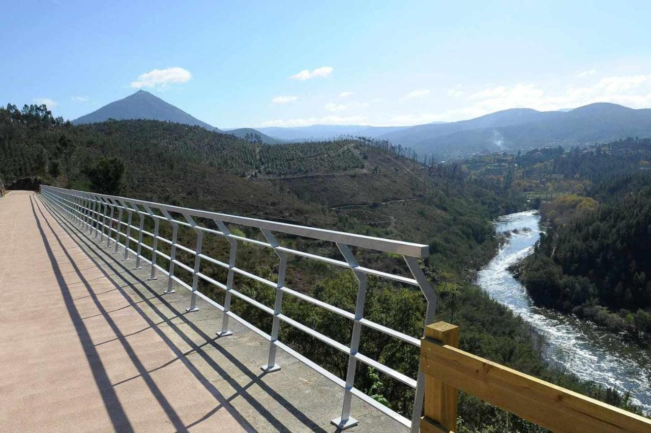 Casa Das Vinhas Camelias De Bastoturismo Rural سيلوريكو دي باستو المظهر الخارجي الصورة